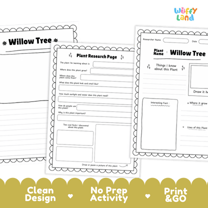 Willow Tree Plant Research Page and Worksheets Print and Go Activity