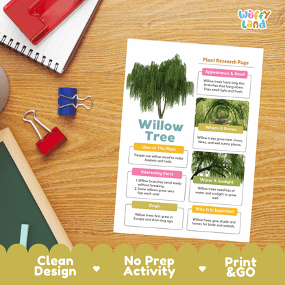 Willow Tree Plant Research Page and Worksheets Print and Go Activity