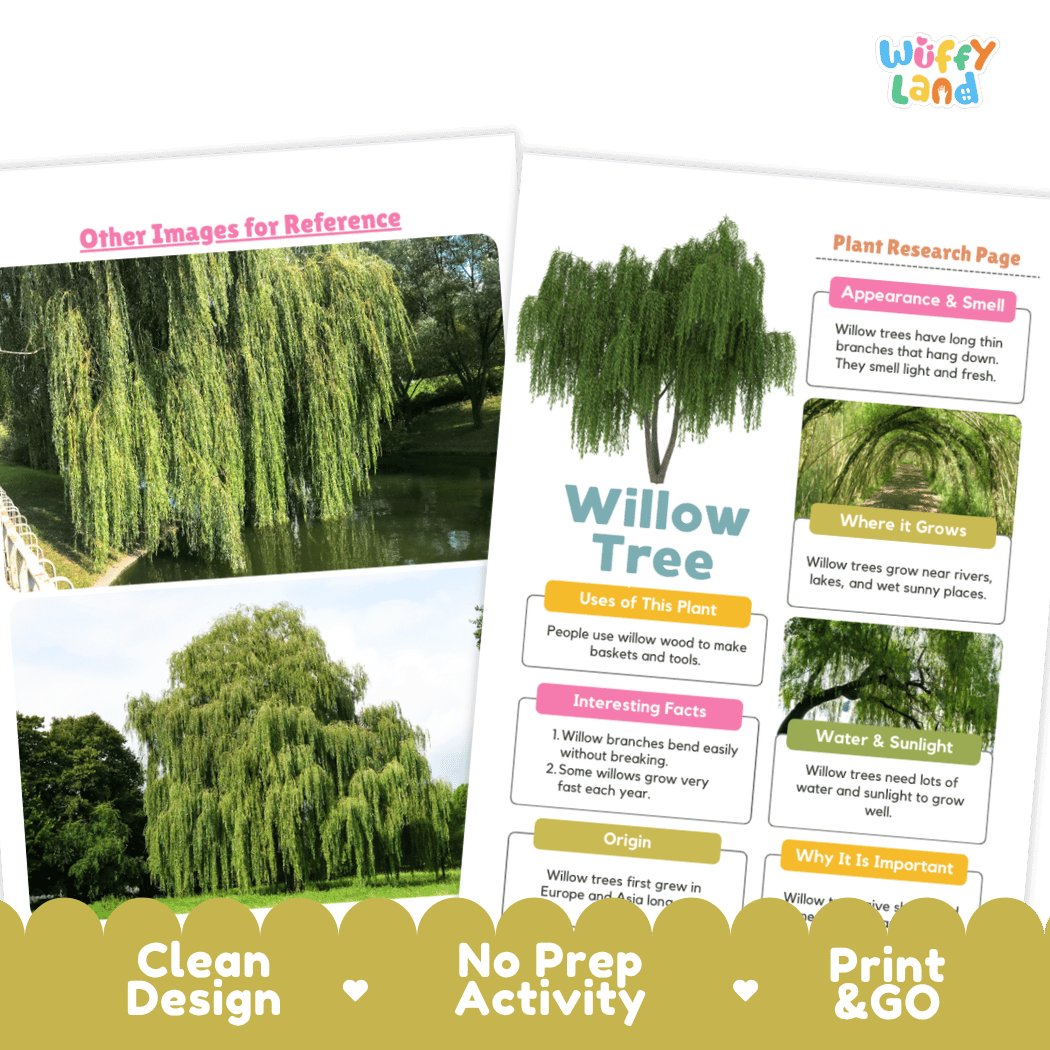 Willow Tree Plant Research Page and Worksheets Print and Go Activity