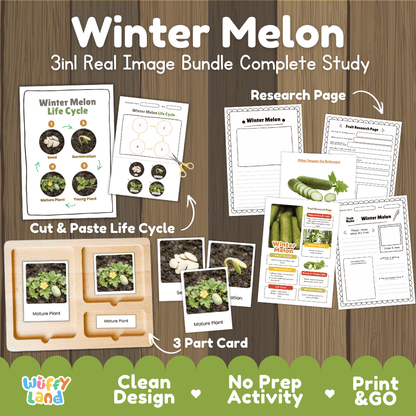 Winter melon life cycle 3in1 real image bundle complete study overview featuring cut and paste worksheets, Montessori 3-part cards, and research pages from Wuffy Land 🍈🌱