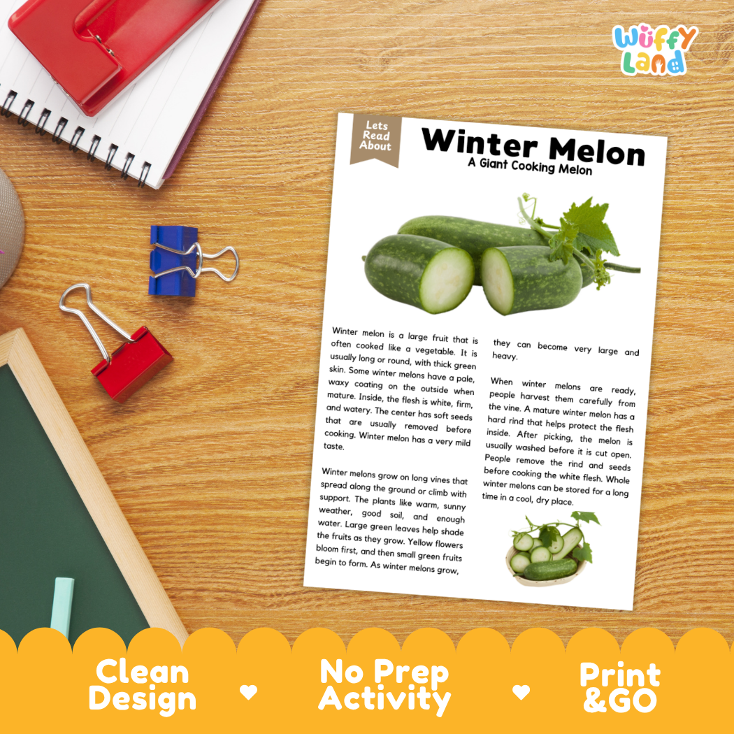 Student reading comprehension worksheet with short-answer questions and lined sections about the winter melon fruit