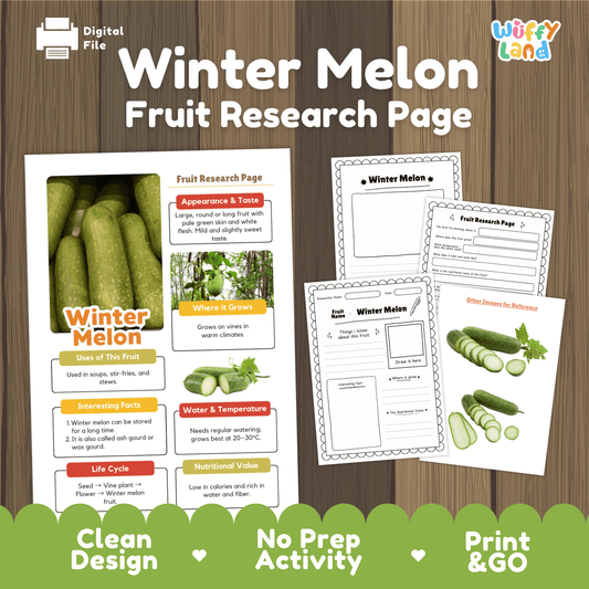 Winter Melon Fruit Research Activity Worksheet Science Ash Gourd Wax Gourd