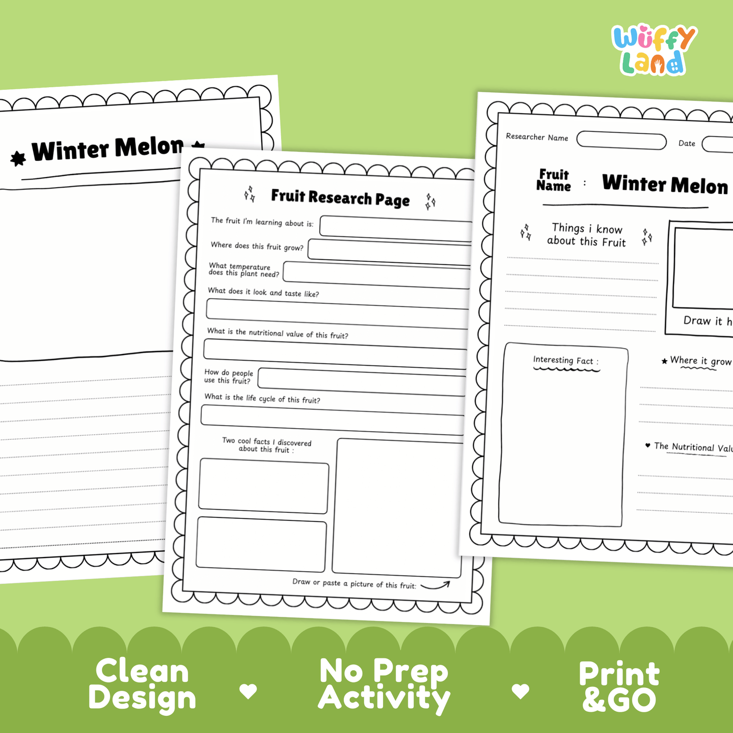 Winter Melon Fruit Research Activity Worksheet Science Ash Gourd Wax Gourd