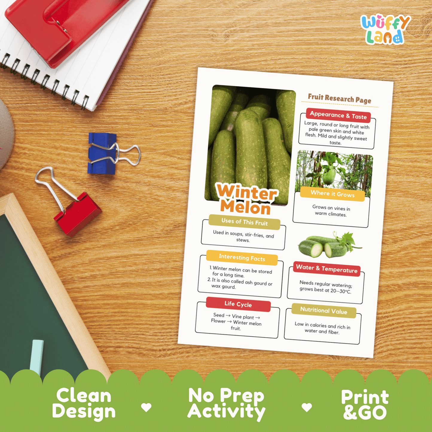 Winter Melon Fruit Research Activity Worksheet Science Ash Gourd Wax Gourd
