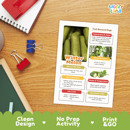 Winter Melon Fruit Research Activity Worksheet Science Ash Gourd Wax Gourd