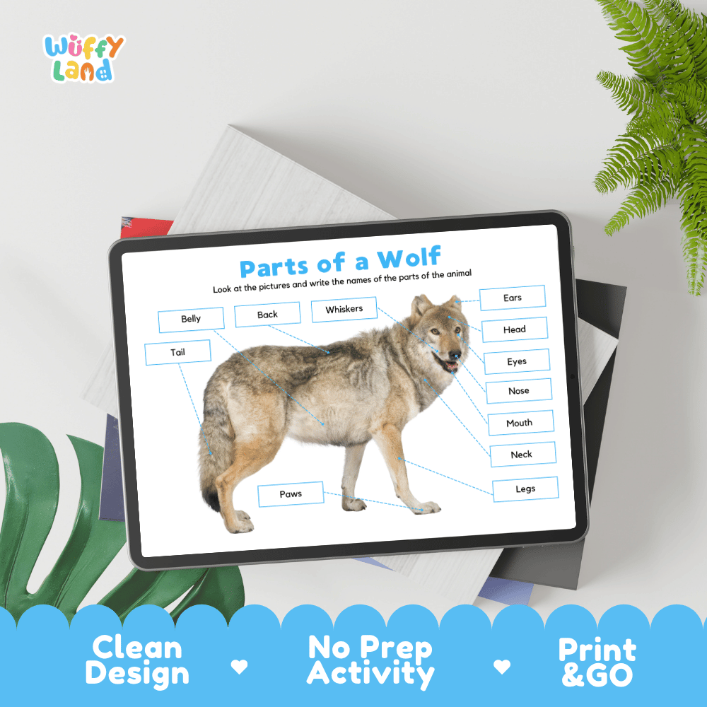 Educational cut and paste wolf anatomy worksheet with cut-out word labels for head, ears, whiskers, paws, and tail