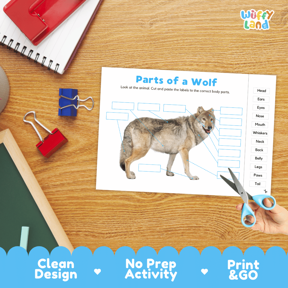 Printable mammal anatomy worksheet showing a realistic wolf with blank labeling boxes and a vocabulary word bank for writing practice