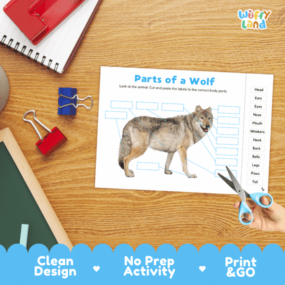 Printable mammal anatomy worksheet showing a realistic wolf with blank labeling boxes and a vocabulary word bank for writing practice