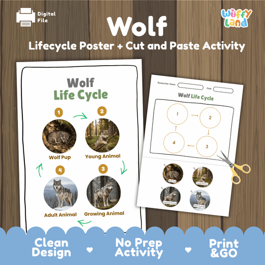 Wolf Life Cycle Poster and Cut and Paste Activity Worksheets