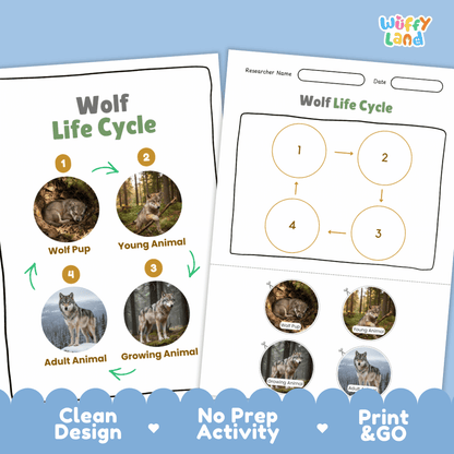 Wolf Life Cycle Poster and Cut and Paste Activity Worksheets