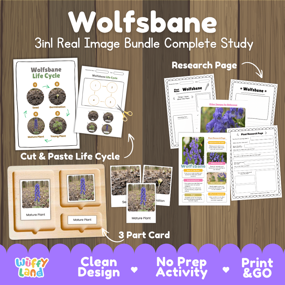 Wolfsbane plant 3in1 real image bundle complete study printable featuring life cycle cut and paste worksheets, Montessori 3-part cards, and research pages