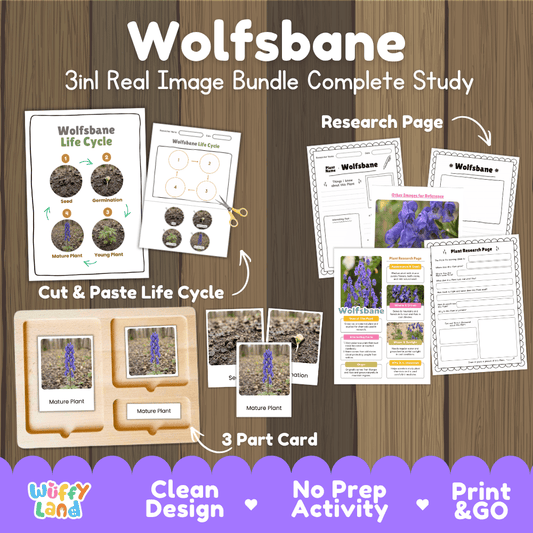 Wolfsbane plant 3in1 real image bundle complete study printable featuring life cycle cut and paste worksheets, Montessori 3-part cards, and research pages