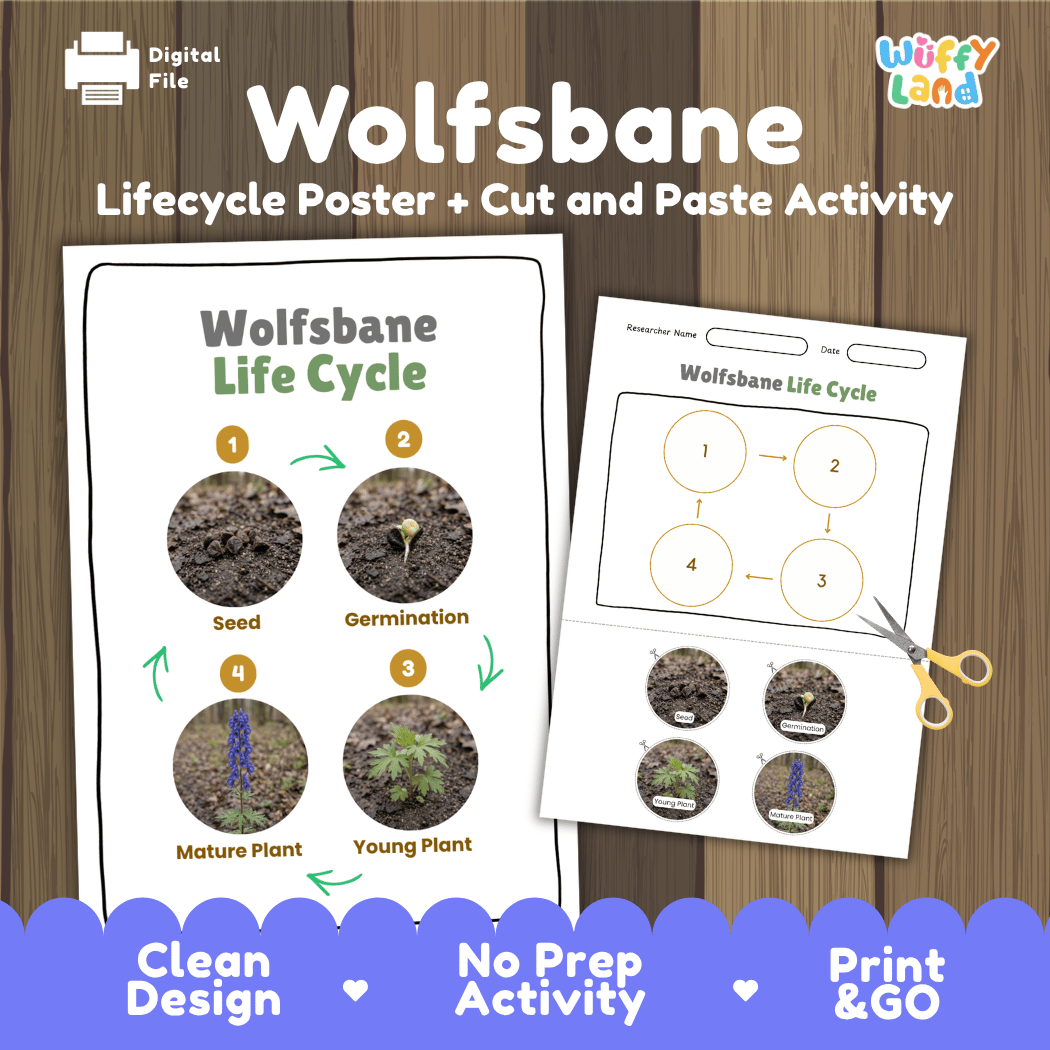 Wolfsbane Life Cycle Poster and Cut and Paste Activity Worksheet
