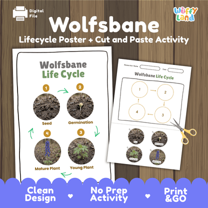 Wolfsbane Life Cycle Poster and Cut and Paste Activity Worksheet