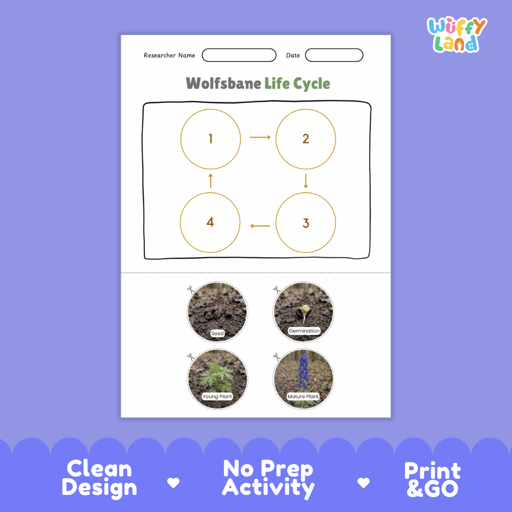 Wolfsbane Life Cycle Poster and Cut and Paste Activity Worksheet