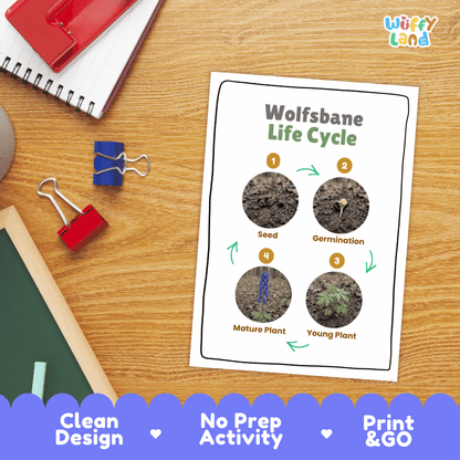 Wolfsbane Life Cycle Poster and Cut and Paste Activity Worksheet