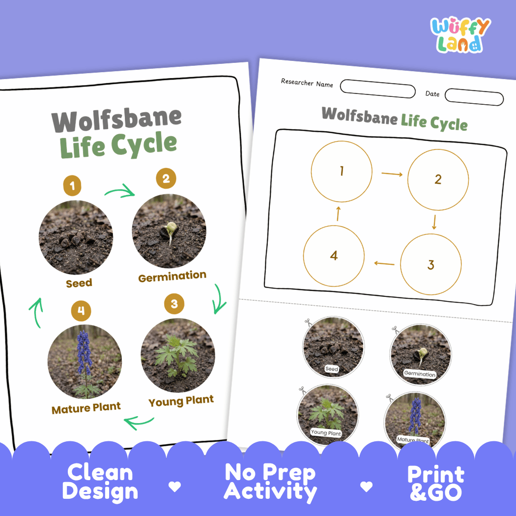 Wolfsbane Life Cycle Poster and Cut and Paste Activity Worksheet