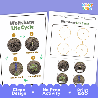 Wolfsbane Life Cycle Poster and Cut and Paste Activity Worksheet