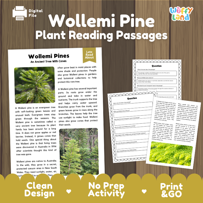 Wollemi Pine Plant Reading Passages and Comprehension Questions Worksheets