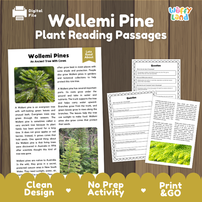 Wollemi Pine Plant Reading Passages and Comprehension Questions Worksheets