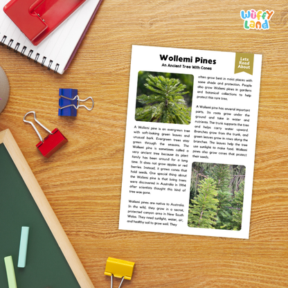 Wollemi Pine Plant Reading Passages and Comprehension Questions Worksheets