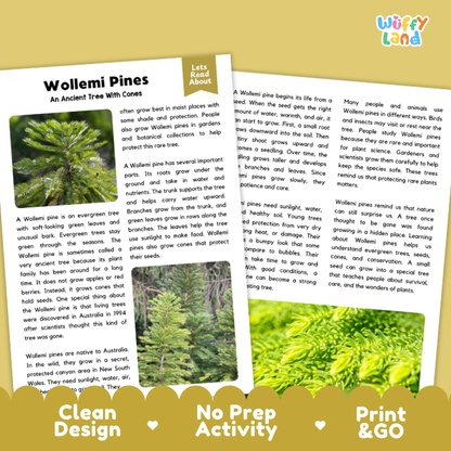 Wollemi Pine Plant Reading Passages and Comprehension Questions Worksheets