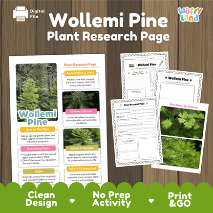Wollemi Pine Plant Research Page Worksheets and Fact Sheet