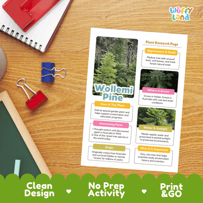 Wollemi Pine Plant Research Page Worksheets and Fact Sheet