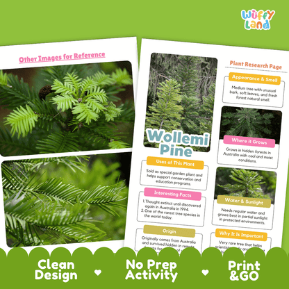 Wollemi Pine Plant Research Page Worksheets and Fact Sheet