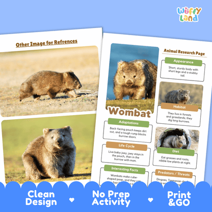 Wombat Animal Research Page Graphic Organizers and Worksheets