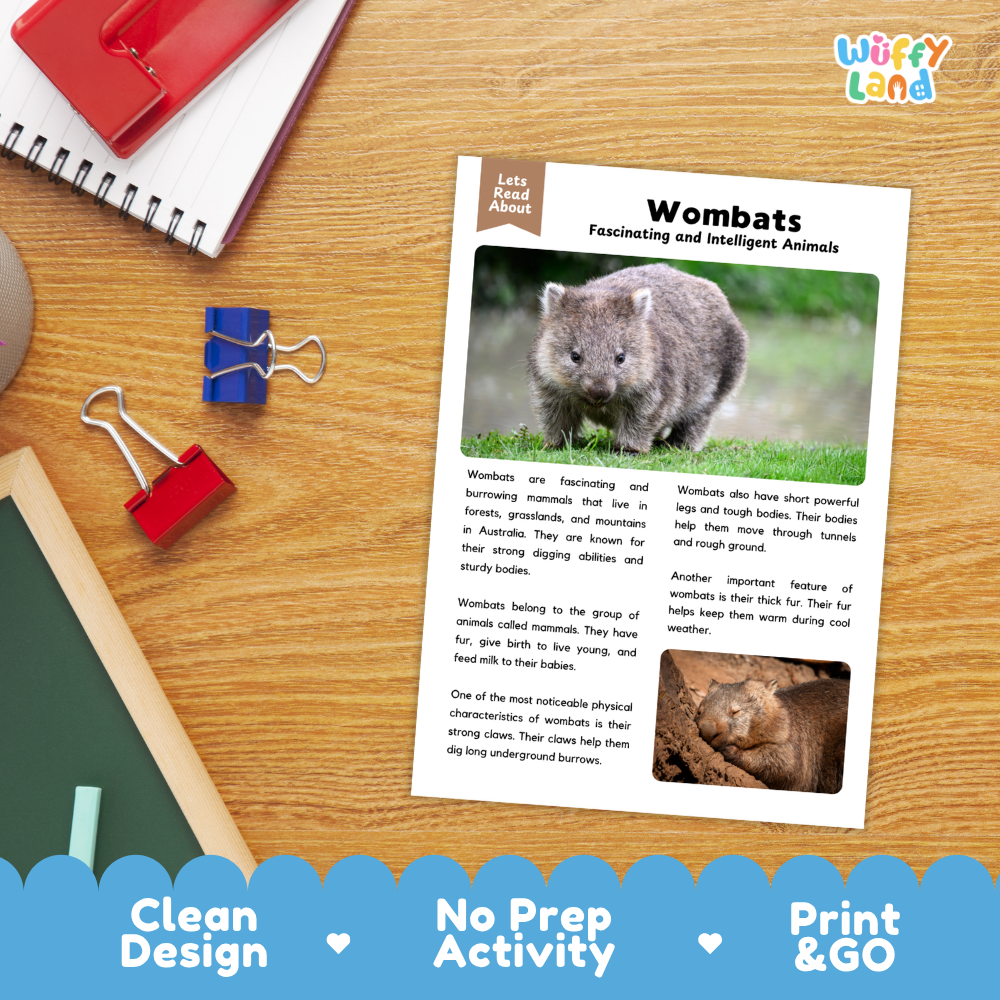 An educational activity sheet about wombats titled 'Wombats: Feintinating and Intelligent Animals' displayed on a wooden desk with a spiral notebook, red binder clip, and blue binder clip. The sheet features text, a main photo of a gray-brown wombat, and a smaller photo of a wombat pouch.