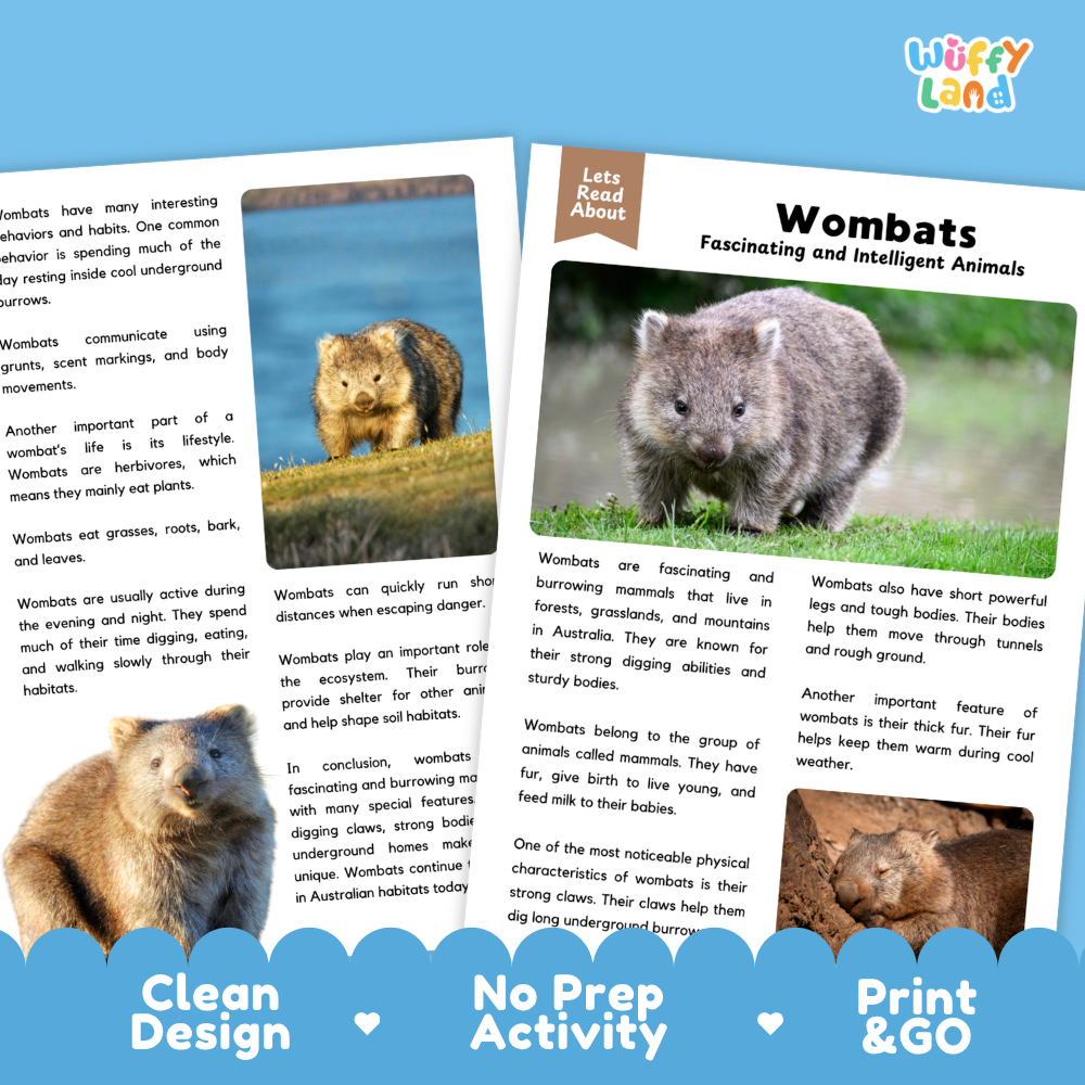 Two educational worksheet pages about wombats from the brand 'Wiffly Land', featuring text, a small color illustration, and a photo of a real wombat. The pages are shown on a white background with a blue decorative footer banner at the bottom.
