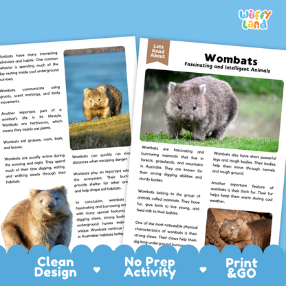 Two educational worksheet pages about wombats from the brand 'Wiffly Land', featuring text, a small color illustration, and a photo of a real wombat. The pages are shown on a white background with a blue decorative footer banner at the bottom.