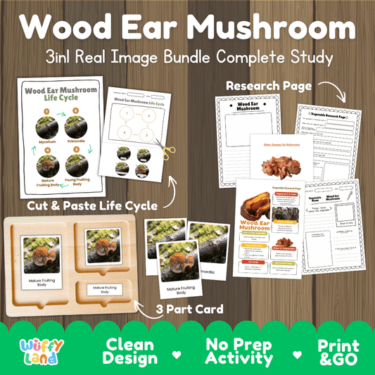 Wood ear mushroom 3in1 real image bundle complete study printable featuring life cycle cut and paste worksheets, Montessori 3-part cards, and research pages