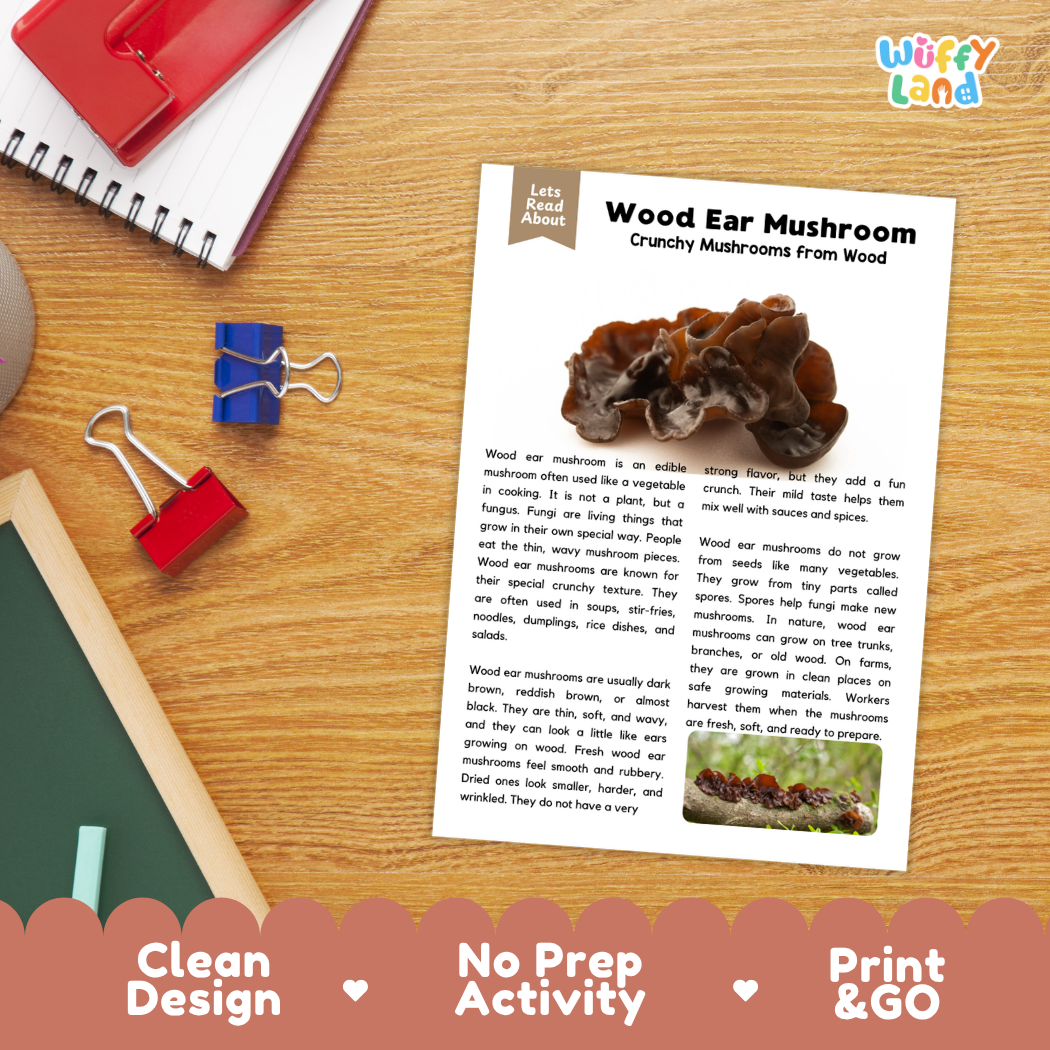 Student reading comprehension worksheet with short-answer questions and lined sections about wood ear mushrooms