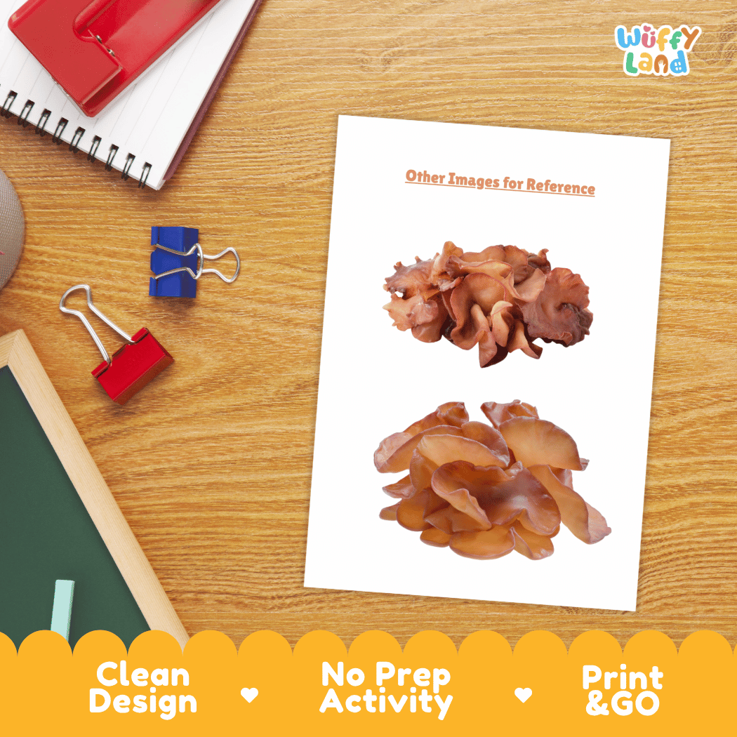 Wood Ear Mushroom Vegetable Research Worksheets and Informational Fact Sheets