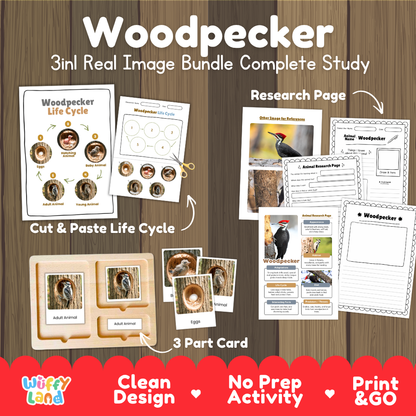 Woodpecker 3-in-1 real image bundle complete study cover showing cut and paste life cycle, 3 part cards, and research pages