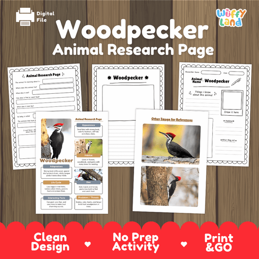 Woodpecker Animal Research Page Worksheets and Fact Sheet