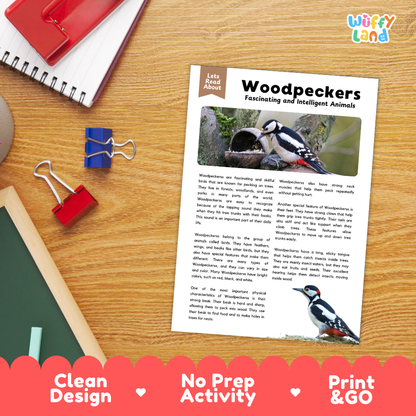 Woodpeckers Reading Passage and Comprehension Questions Worksheets with Answer Key