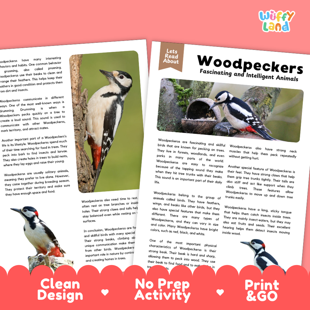 Woodpeckers Reading Passage and Comprehension Questions Worksheets with Answer Key