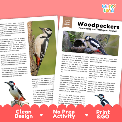Woodpeckers Reading Passage and Comprehension Questions Worksheets with Answer Key