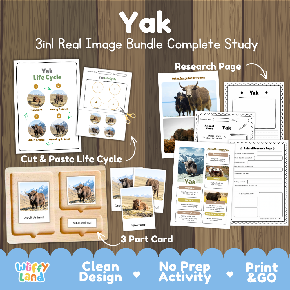 Yak 3-in-1 real image bundle complete study cover showing cut and paste life cycle, 3 part cards, and research pages