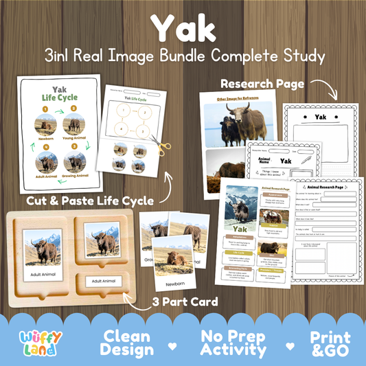 Yak 3-in-1 real image bundle complete study cover showing cut and paste life cycle, 3 part cards, and research pages