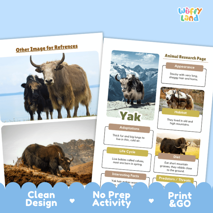 Yak Animal Research Project Graphic Organizers and Fact Sheet