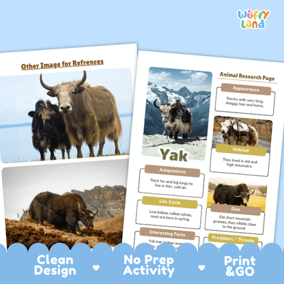 Yak Animal Research Project Graphic Organizers and Fact Sheet
