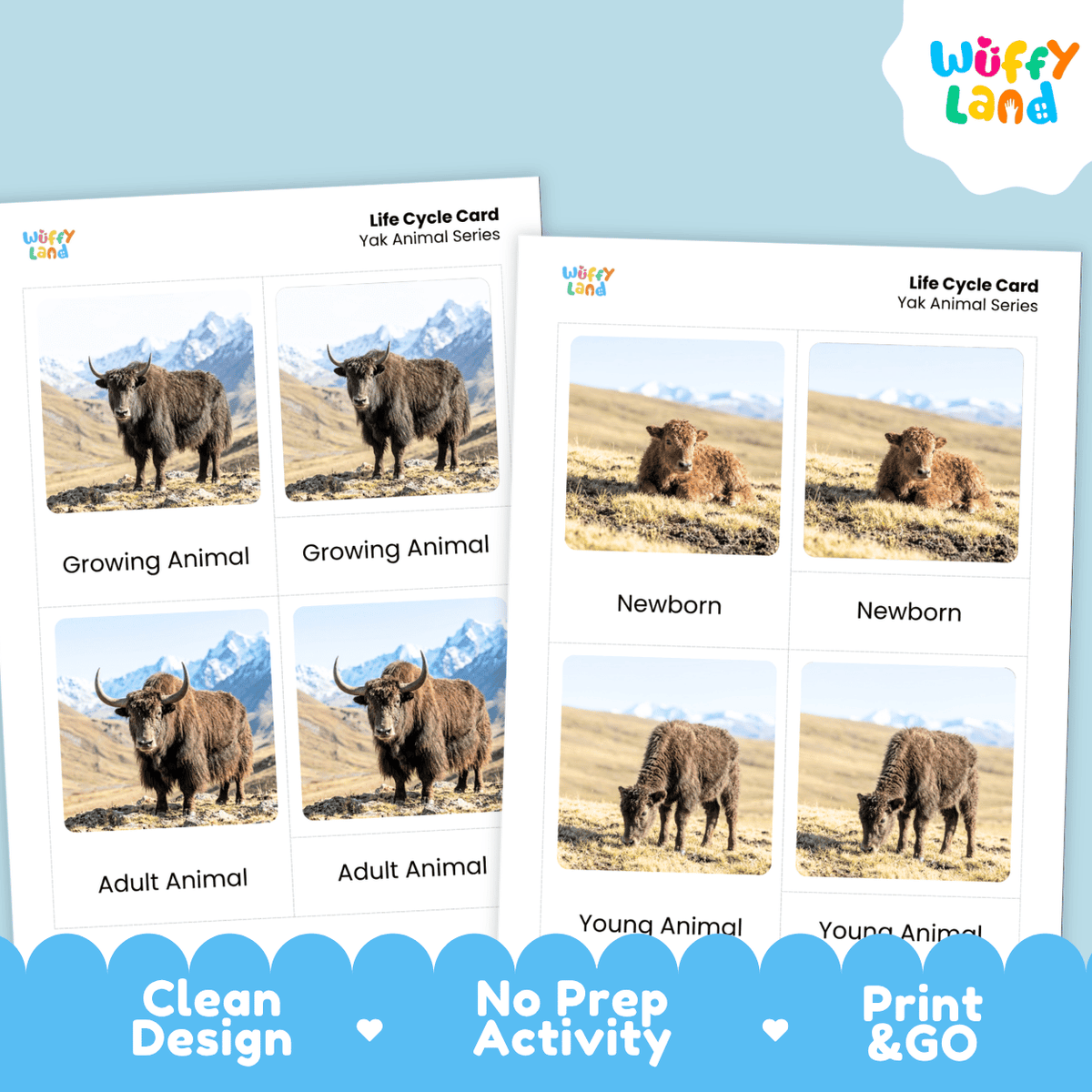 Two printable activity cards for a 'Yak Animal Series' life cycle, showing photos of yaks in different ages/stages. The cards are displayed on a light blue background with promotional text at the bottom reading 'Clean Design', 'No Prep Activity', and 'Print & GO'.