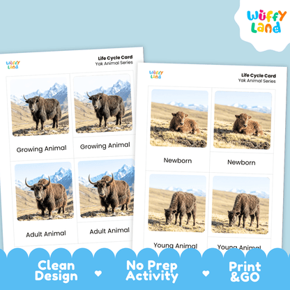 Two printable activity cards for a 'Yak Animal Series' life cycle, showing photos of yaks in different ages/stages. The cards are displayed on a light blue background with promotional text at the bottom reading 'Clean Design', 'No Prep Activity', and 'Print & GO'.