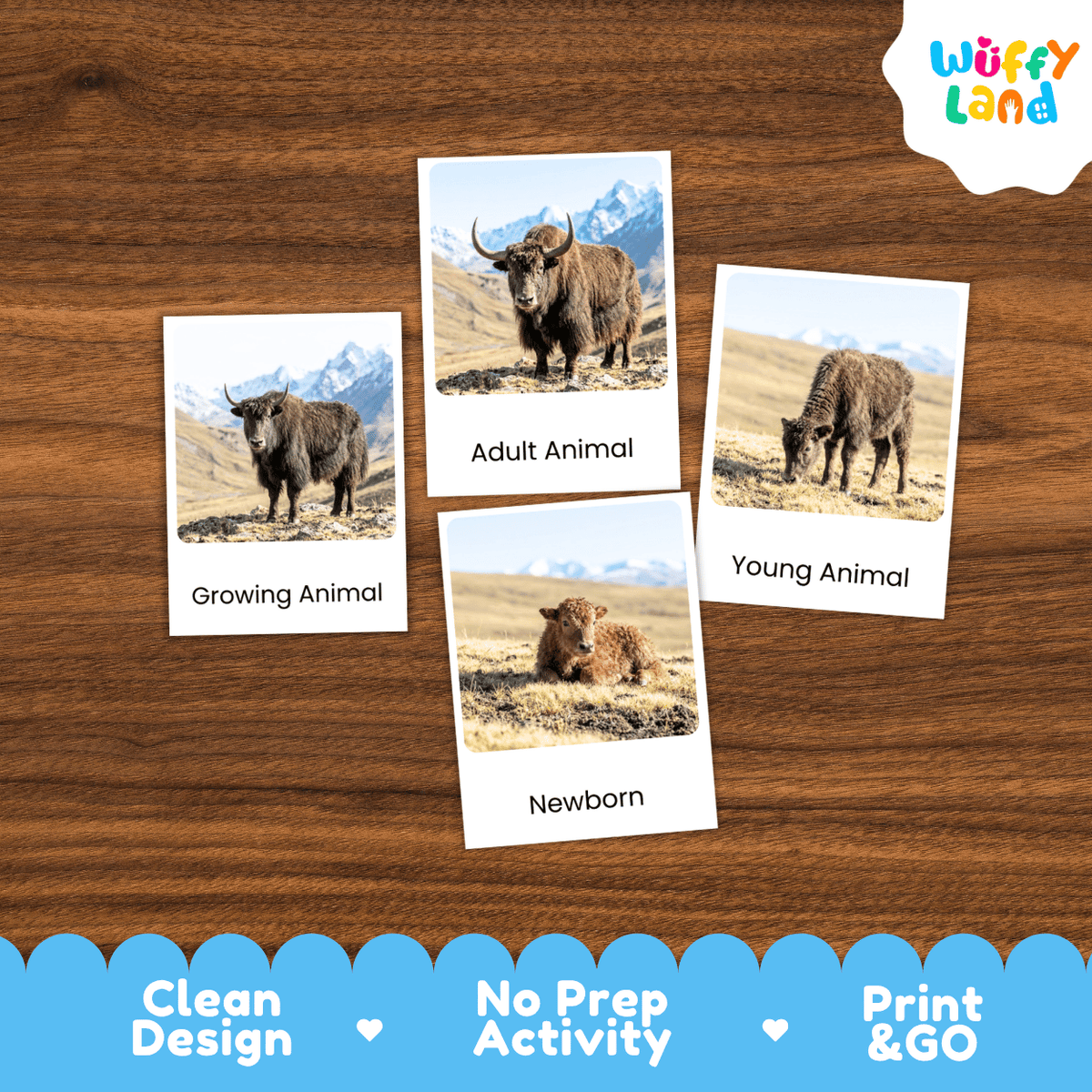 Four printed animal activity cards are arranged on a wooden surface. The cards show photos of animals with labels reading Growing Animal, Adult Animal, Young Animal, and Newborn.