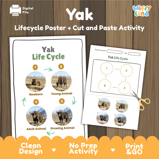 Yak Life Cycle Poster and Cut and Paste Activity Worksheet