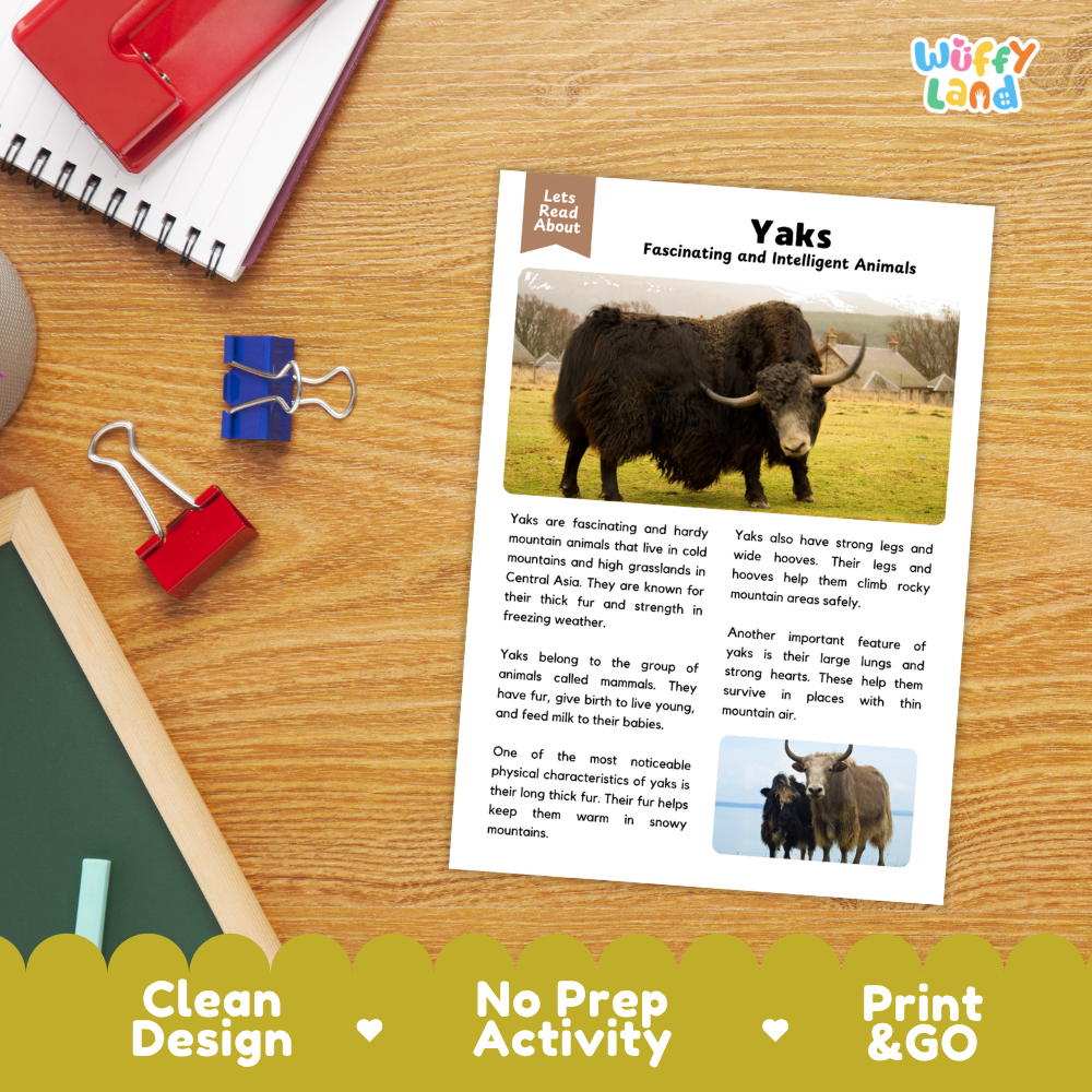 An educational reading activity sheet about 'Yaks' laid out on a wooden desk with school supplies. The white sheet features text, a main yak photo, and a small cow photo, with a yellow promotional banner at the bottom reading 'Clean Design', 'No Prep Activity', and 'Print & GO'.
